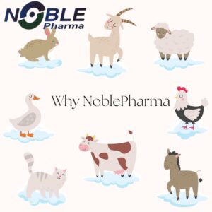 High-Quality Veterinary Supplies