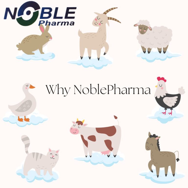 Top 5 Benefits of Using High-Quality Veterinary Supplies from Noble Pharma